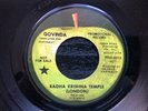 Beatles Radha Krishna Temple GOVINDA 1970 Apple 45 PROMO EDIT PRO 5013 VG++