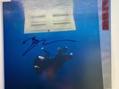 Billie Eilish - hit me hard and soft 12” Grey  & signed Art Card