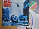 VG+ / MR. BIG - Bump Ahead [ 1993 KOREA Orig 1st LP Vinyl ] w/Insert