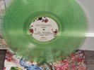 Rare Misterwives Our Own House Clear Green Vinyl Collectible Record LP Music