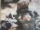 Strangelove - time for the rest of your life 2 x 12