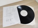 The Only Ones - The Peel Sessions - Strange Fruit White Label Test Pressing