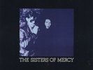 THE SISTERS OF MERCY Lucretia My Reflection Vinyl LP 1988 Elektra