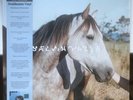 Salvia Palth ‎– Melanchole Vinyl Limited Edition - Reissue Mint 2022 NEW SEALED