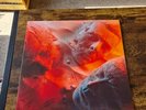 Muse - Will Of The People - Limited Edition - Numbered - Zeotrope - 1st Press NM