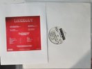 RARE LIONHART PROMO LP HP 2101 0676 and 45rpm Record BOTH VG+ Watch Video