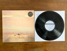 Lloyd Cole And The Commotions ‎– 1984-1989 IMPORT LP VINYL RECORD COMPILATION