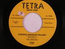 Doo Wop/R&B Sax Rocker 45 SENIORS Evening Shadows Falling TETRA HEAR d