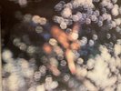 PINK FLOYD: Obscured by clouds (Harvest 1C 062-05 054 Stereo / NM / Ecken rund)