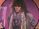 BON JOVI, 1986 Picture Disc, Slippery When Wet