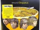 Grapefruit  Around Grapefruit LP Album vinyl record RSD 2024 Limited deluxe