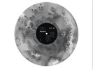 Spiritbox Tsunami Sea Foil Cover Ghostly Black Pale Chord Variant Vinyl LP /500