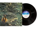 Hans-Joachim Roedelius Vinyl Record Durch Die Wüste LP Germany 1978