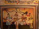 The Beatles - Strawberry Fields Forever (VINYL) - ROCK / USED *NEAR MINT*