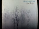 Fleetwood Mac BARE TREES, w/ Bob Welch, Vinyl, Reprise PROMO (1972) 1st Pressing