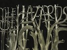 The Decemberists - The Hazards Of Love, 2xLP, (Vinyl)
