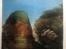 Bob Seger Brand New Morning 1971 First Pressing RARE Green Label VG+