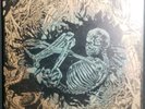 1st Press Ceschi Pat The Bunny Split 1:500 LP VINYL 2016 Record Ramshackle Glory