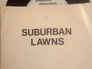 SUBURBAN LAWNS Gidget Goes To Hell 7