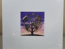 Laughing Stock by Talk Talk (Sealed & New)w/minor sleeve damage