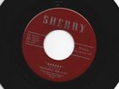 SURF GARAGE INSTRO  bw VOCAL 45 - FANTASTIC DEE-JAYS - APACHE -HEAR- 1965 SHERRY