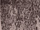 Natural Information Society & Bitchin Bajas Automaginary (Vinyl) 12