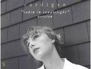 Taylor Swift - Cardigan (cabin in the candlelight) 7