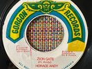 HORACE ANDY - Zion Gate - KILLER REGGAE ROOTS 45 gorgon records