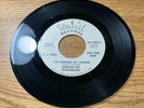 NORTHERN SOUL 45 DONALD LEE RICHARDSON I'VE LEARNED MY LESSON SOULVILLE DJ CLEAN