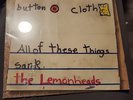 The Lemonheads - All Of These things Sank Vinyl Sealed New