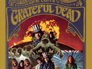The Grateful Dead – The Grateful Dead - LP Vinyl Record 12