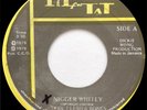 Skin, Flesh & Bones NIGGER WHITEY Rare Jamaican 45 EX  Listen