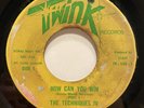 RARE Sweet Soul 45 THE TECHNIQUES IV How Can You Win Part 1 & 2 TWINK listen
