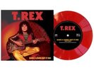 T. REX - BANG A GONG GET IT ON - Vinyl Record 7 - E4z