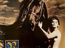 Alannah Myles ‎- Rockinghorse (LP) (VG-/VG-)