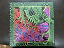 King Gizzard & the Lizard Wizard (KGLW) Live at RED Rocks '22 - 12 LPs