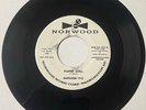 Napoleon Tyce 1961 DOO WOP 45 Sitting Here / Paper Doll NORWOOD DJ VG+++/M- HEAR
