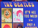 NEW  BEATLES MINT COLORED VINYL/SLEEVE 