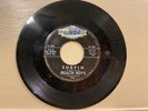 BEACH BOYS   SURFIN/ LUAU - CANDIX-301 - 1961 45rpm