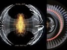PEARL JAM Dark Matter Zoetrope Vinyl Blood Records Hand Numbered #49/1000