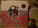 THIS KIND OF PUNISHMENT A Beard Of Bees LP/1984 New Zealand/Flying Nun/Dead C