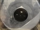 Charli XCX Brat and It's Completely Different Powder Filled Vinyl Blood Records