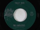 Northern Soul 45 - Fantastics - That One/High Note - Copa