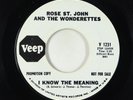 Northern Soul 45 - Rose St. John & Wonderettes - I Know The Meaning - Veep VG+