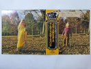 The Allman Brothers Band Brothers And Sisters Capricorn VIP-5083 Japan   LP OBI