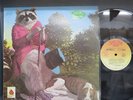 J.J. Cale-Naturally-VINYL LP-USED-SHILP270225_6455