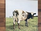 Pink Floyd Atom Heart Mother UK 3rd Issue Vinyl Lp Harvest Gatefold 1976  NM/EX