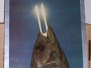 REO Speedwagon ‎- You Can Tune A Piano But You Can’t Tuna Fish - Vinyl LP Record