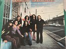Lynyrd Skynyrd Pronounced 'Lĕh-'nérd 'Skin-'nérd  LP 1973 MCA-3019 • Vinyl NM