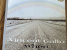 Vincent Gallo When - Original 2001 Vinyl LP, RARE WARP RECORDS / Bound Sleeve